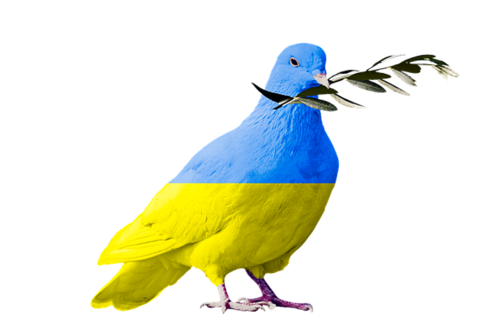 ukraine-taube