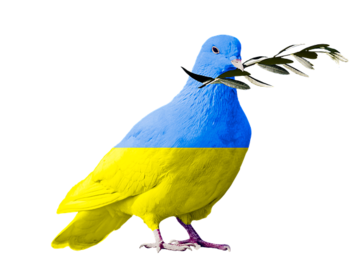 ukraine-taube