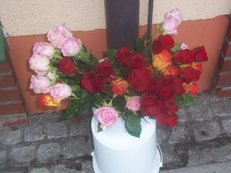 100_1029.JPG