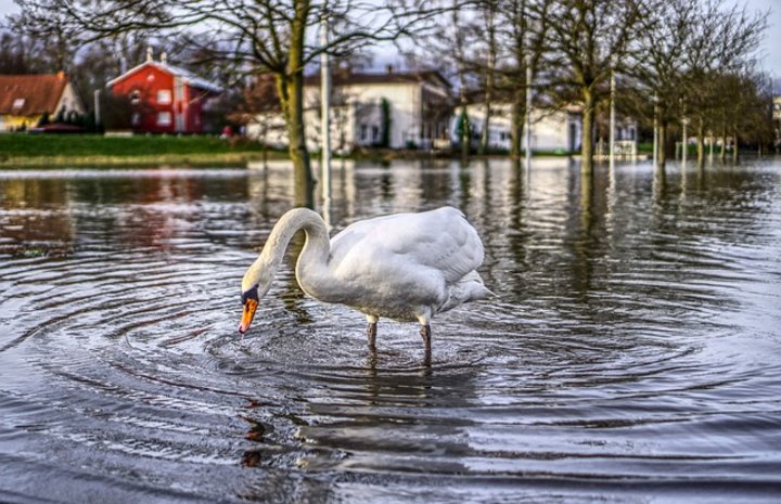 Hochwasser?