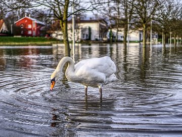 Hochwasser?