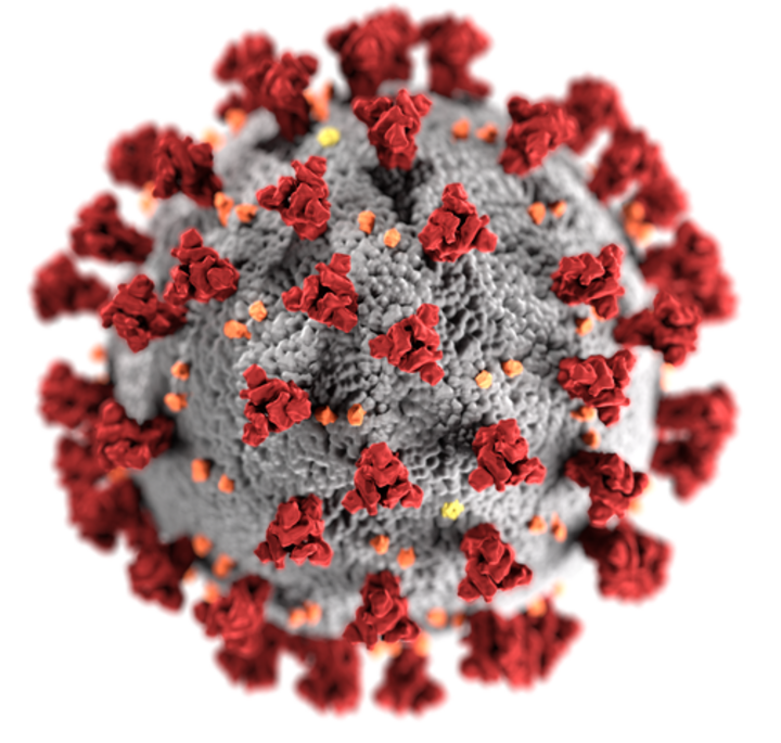 2019-nCoV-CDC-23312.png