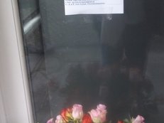 100_1033.JPG