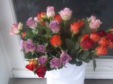 100_1034.JPG