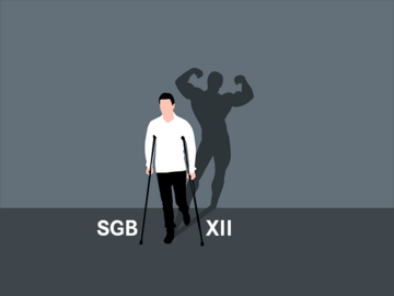 SGB XII