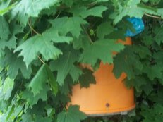 100_1198.JPG